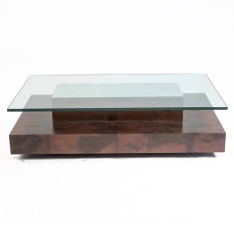 Rectangular Bizarro Coffee Table