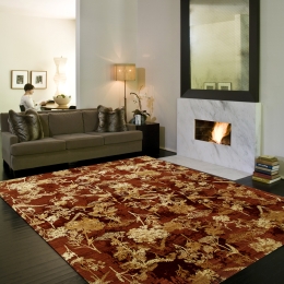 Rust Hand Knotted Area Rug